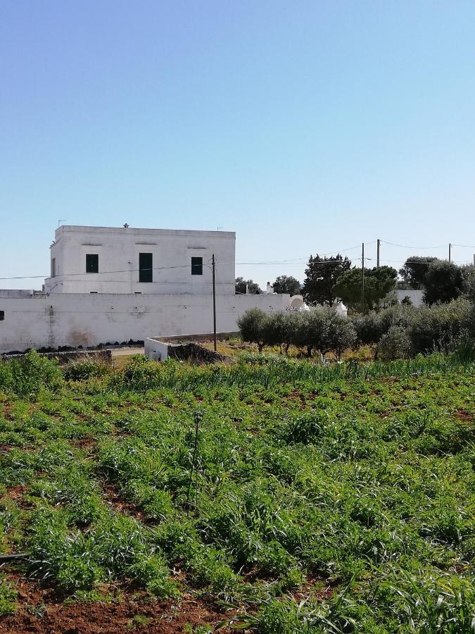 Masseria Ricci فاسانو المظهر الخارجي الصورة