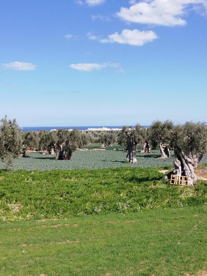 Masseria Ricci فاسانو المظهر الخارجي الصورة