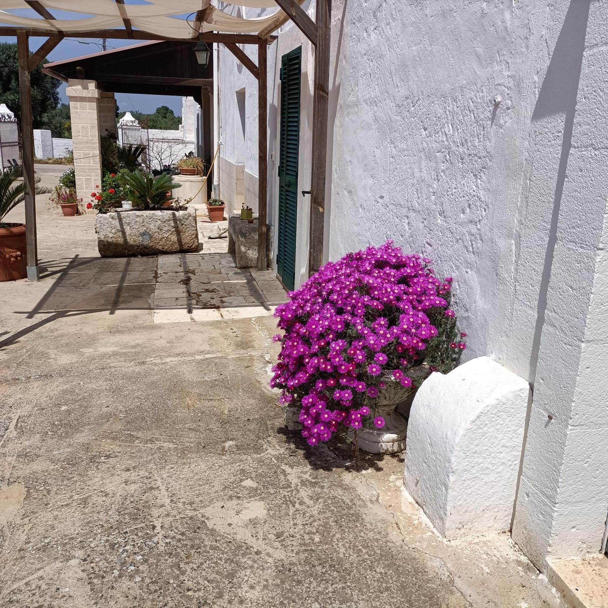 Masseria Ricci فاسانو المظهر الخارجي الصورة