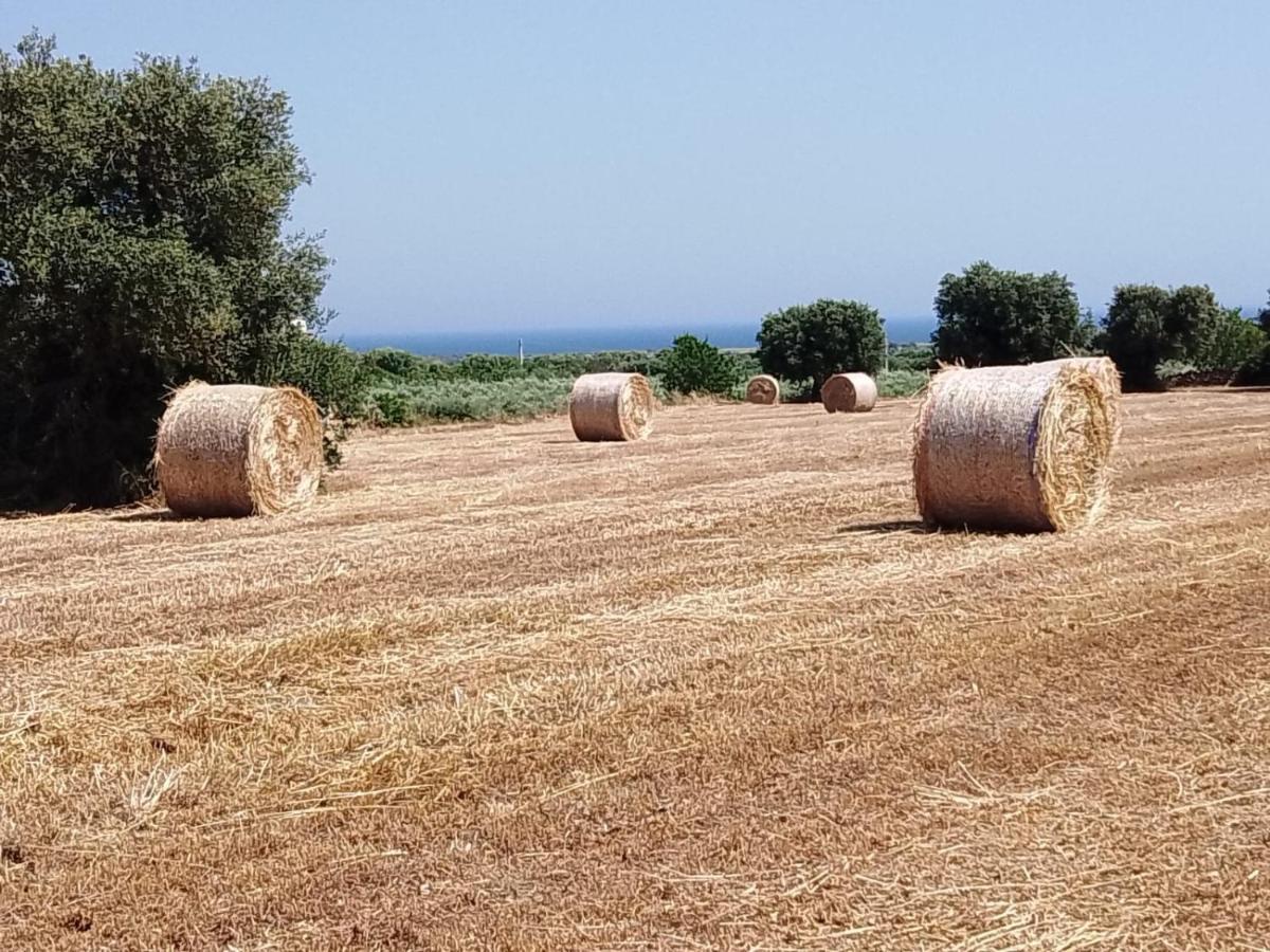 Masseria Ricci فاسانو المظهر الخارجي الصورة