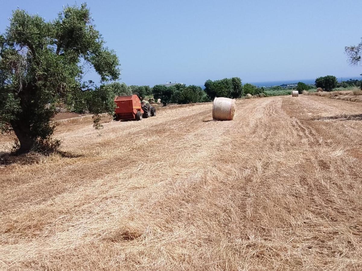 Masseria Ricci فاسانو المظهر الخارجي الصورة