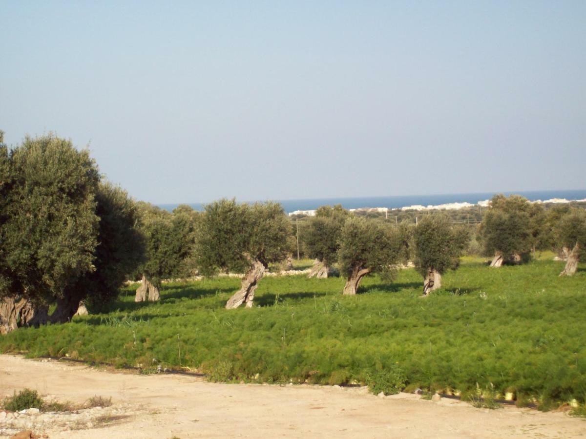 Masseria Ricci فاسانو المظهر الخارجي الصورة